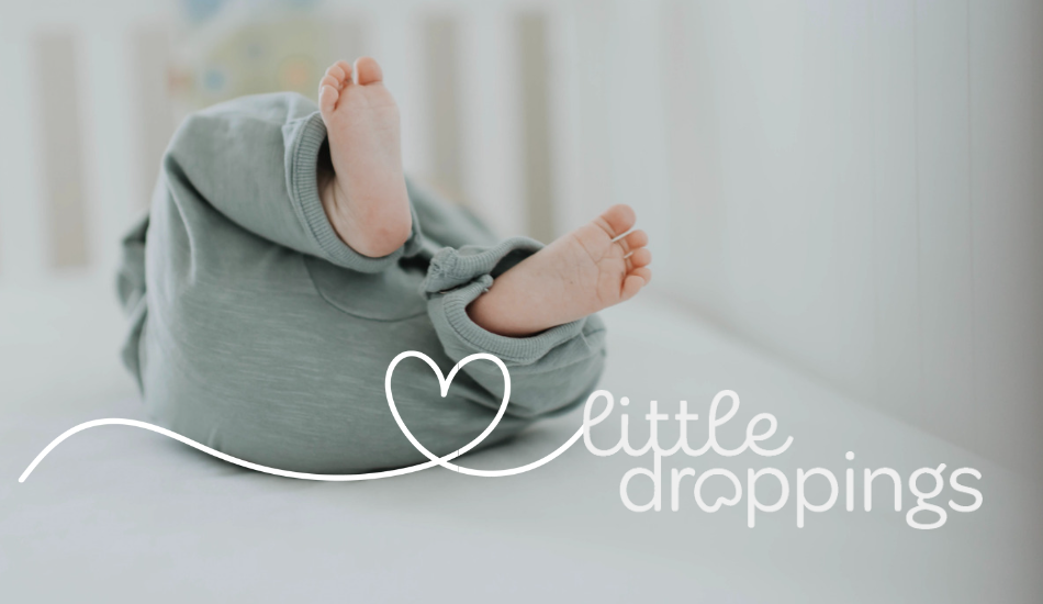 Little Droppings Gift Card